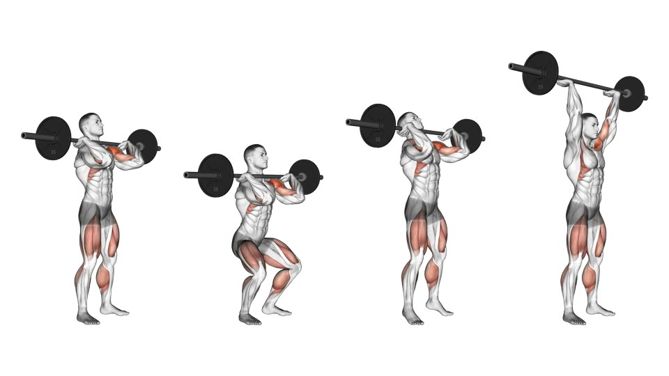 Four-frame anatomical illustration of a barbell push press from the front rack through a short dip and leg drive to an overhead finish, with the shoulders, arms and legs highlighted.