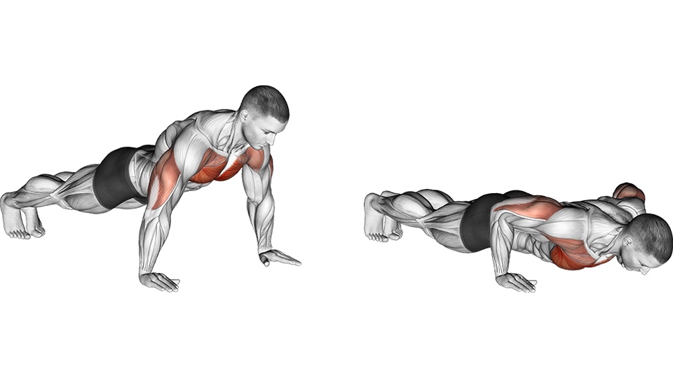 Ilustración anatómica en dos imágenes de una flexión de brazos estándar en el suelo. A la izquierda, un hombre mantiene la posición alta sobre los brazos rectos y las puntas de los pies, con el cuerpo alineado. A la derecha, los codos están flexionados en diagonal hacia atrás y el pecho cerca del suelo. El pecho, la parte frontal de los hombros y la parte posterior de los brazos aparecen marcados en rojo.