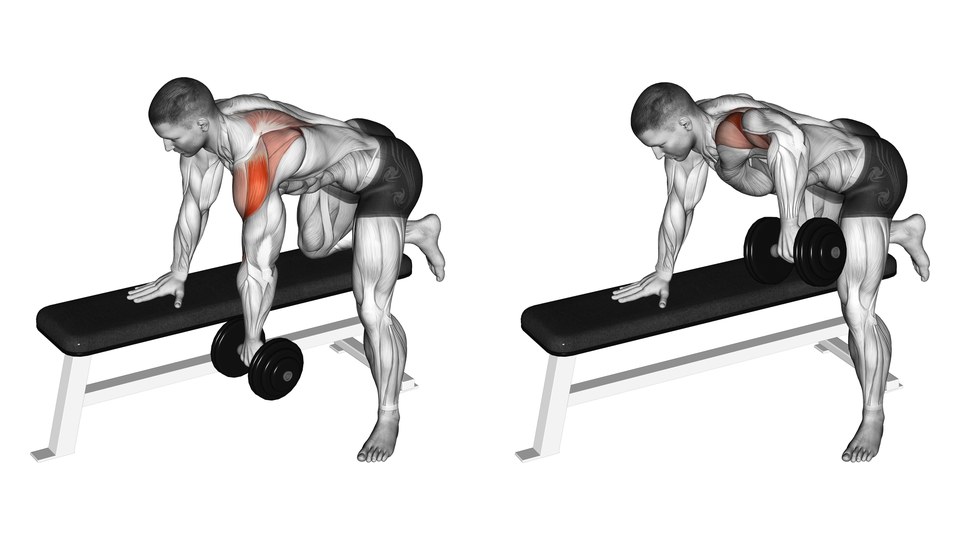 Two-frame anatomical illustration of a one-arm dumbbell rear delt row with one hand and knee braced on a bench, shown with the arm hanging and the elbow pulled wide, with the rear shoulder and upper back highlighted.