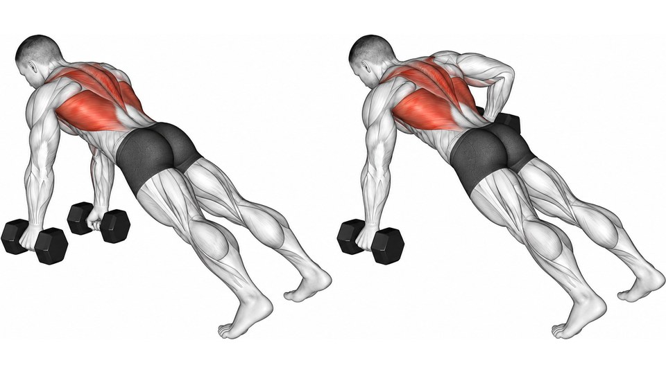Two anatomical illustrations of a man in a wide-foot plank on hexagonal dumbbells, first with both arms straight and then rowing one weight, with the back shaded red.
