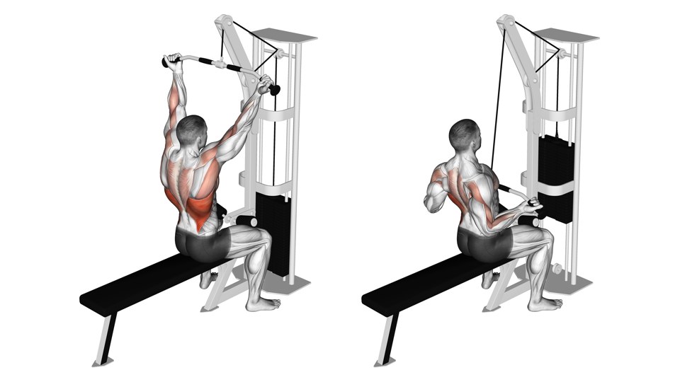 Anatomical illustration of a seated underhand cable pulldown, shown from behind with the bar overhead and lowered in front of the body, and the back and arms highlighted.