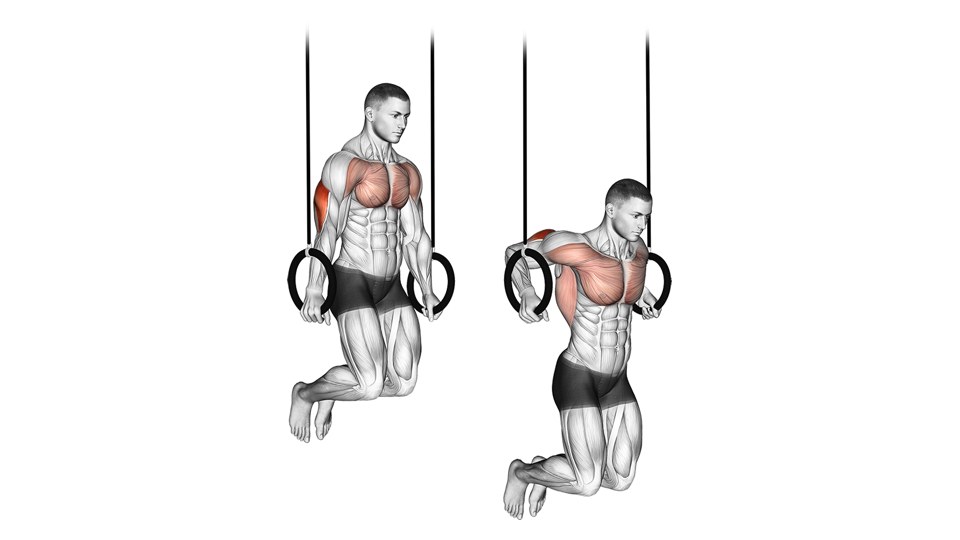 Exercise illustration: Straight-arm support and bent-arm dip on separate rings.