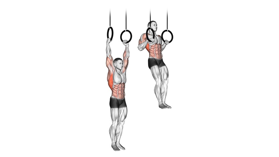 Exercise illustration: Ring hang and high pull into the transition; the final straight-arm support is not pictured.