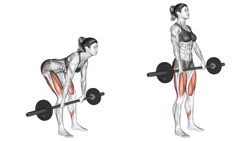 Two frames of the same anatomical figure, a woman, performing a barbell Romanian deadlift, shown from the side against white. Left: the bottom of the rep, hips pushed back, torso close to horizontal, knees clearly bent rather than locked, arms hanging straight with the bar at about knee height just in front of the shins. Right: the finish, standing tall and upright with the bar held at the hips. The barbell carries one plate a side. Highlighted in red on both frames are the glutes and the hamstrings down the back of the thigh, with the shading continuing into the calf; in the standing frame the fronts of the thighs and the forearms are shaded as well. The lower back is left unshaded in both.