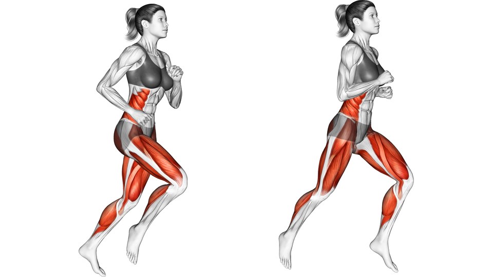 Ilustración anatómica en dos fotogramas de una mujer corriendo sin equipo. En el izquierdo, una rodilla está elevada delante y la otra pierna queda atrás. En el derecho, las piernas están más separadas, con una rodilla delante y la otra pierna extendida hacia atrás. Lleva los codos flexionados y mueve juntos el brazo y la pierna contrarios. Abdomen, caderas, muslos y pantorrillas aparecen sombreados en rojo; la cabeza y casi todos los brazos quedan claros.