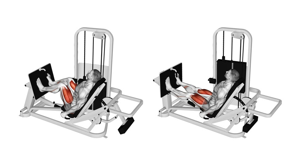 Two-frame side-view anatomical illustration of a woman using a seated horizontal leg press with her knees bent and then extended, with the thighs and glutes highlighted.