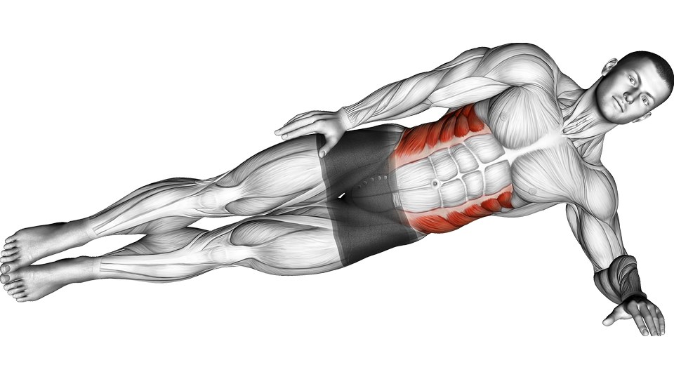 Anatomical illustration of a forearm side plank, with a straight body line and the side of the abdomen highlighted.