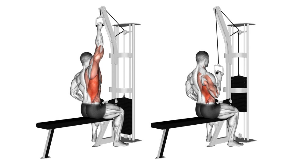 Anatomical illustration of a seated one-arm cable pulldown shown with the arm overhead and pulled down beside the torso, with the working-side back highlighted.