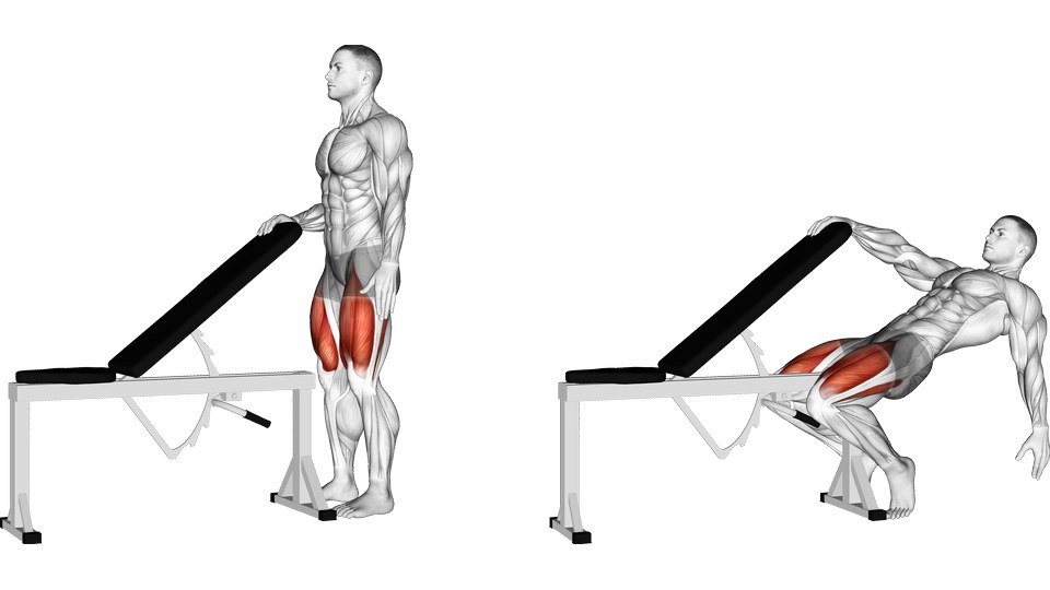 Anatomical illustration of a supported bodyweight sissy squat at the standing and lowered positions, with the quadriceps highlighted.
