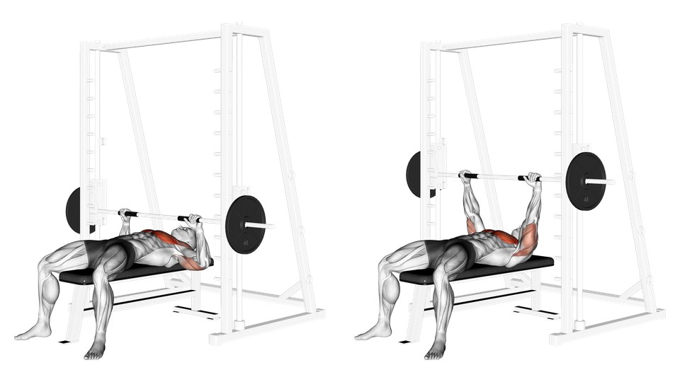 Anatomical illustration of a man performing a flat bench press in a Smith machine in two frames, with the chest and front of the upper arms highlighted.