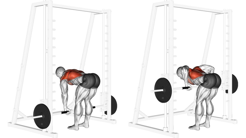 Anatomical illustration of a bent-over Smith machine row at arm's length and at the pulled position, with the back highlighted.