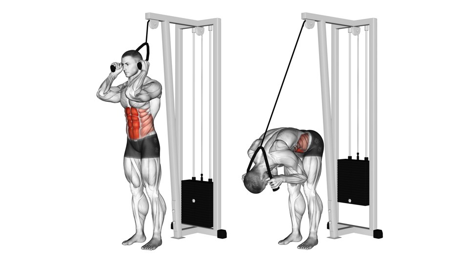 Two anatomical views of a man facing away from a high pulley with a rope beside his head, standing upright then curling his trunk forward; the abdomen is shaded red.