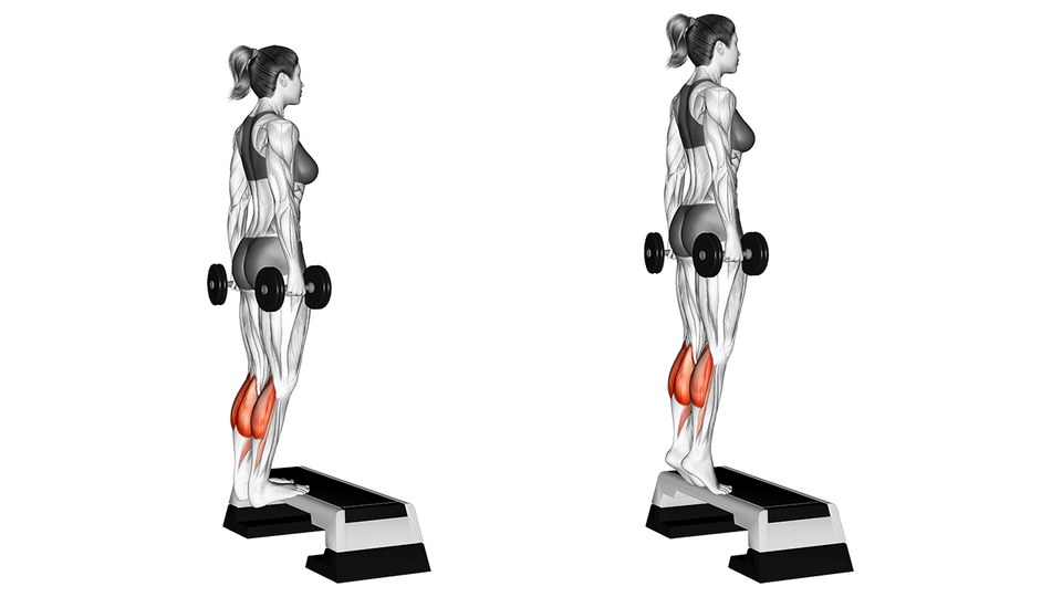 Side-by-side anatomical illustration of a woman doing a standing calf raise with a dumbbell in each hand on an exercise step. The left frame shows her standing with straight knees and feet flat; the right shows her raised onto the balls of her feet, with both calves shaded red.