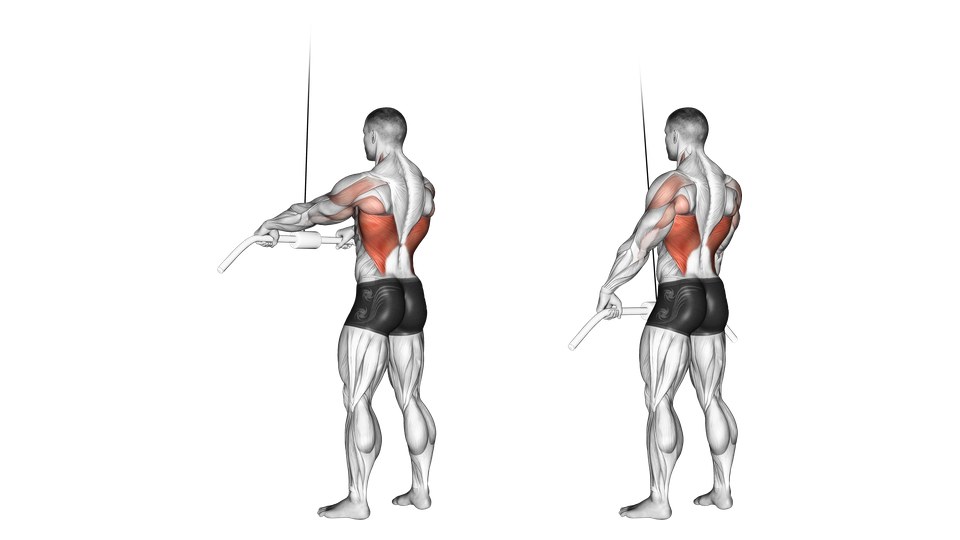 Anatomical rear-view illustration of a man pulling a cable bar from above shoulder height to his thighs with nearly straight arms, with the lats highlighted.