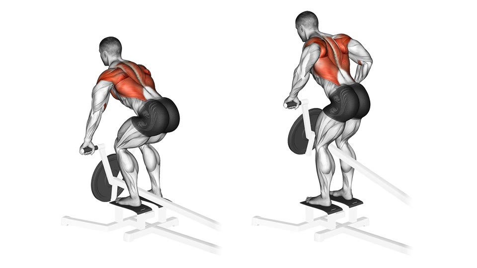 Rear-view anatomical illustration of a plate-loaded T-bar row before and after the handle reaches the torso, with the upper and middle back highlighted.