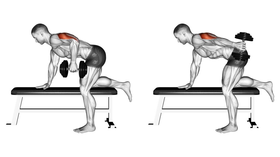 Anatomical illustration of a man braced on a bench performing a one-arm dumbbell kickback in two frames, with the triceps highlighted.
