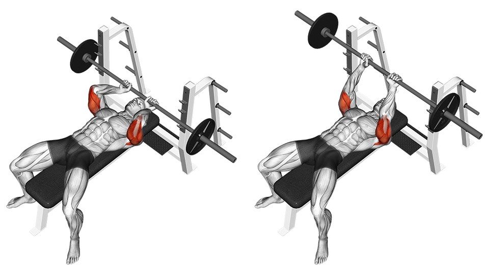 Anatomisk illustration af en liggende tricepsekstension med vægtstang i to billeder. En mand ligger på ryggen på en flad bænk i et stativ og holder en belastet stang med smalt overhåndsgreb. Til venstre er albuerne bøjede og stangen sænket mod panden, med overarmene vinklet mod hovedet; til højre er armene strakte over brystet. Triceps er markeret med rødt og resten med gråt.