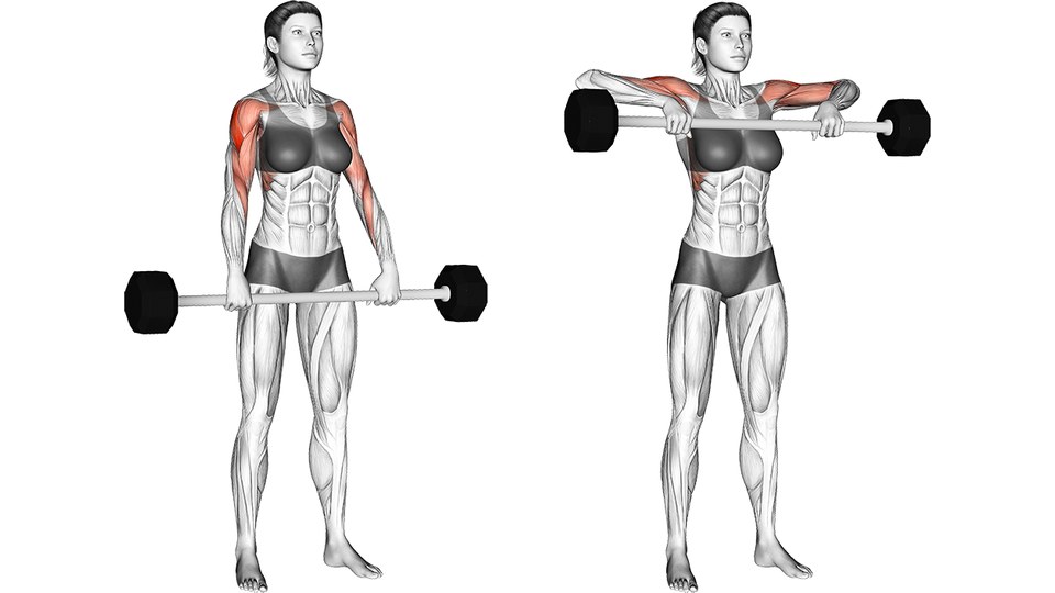 Two front-view anatomical illustrations of a woman performing a barbell upright row on a white background. In the left frame she stands upright with straight arms and an overhand shoulder-width grip, holding a short fixed-weight barbell against her thighs. In the right frame the bar is at her upper chest, her elbows point out to the sides near shoulder height, and her wrists bend as the hands remain below the elbows. The shoulders and front of the upper arms are highlighted red; the trapezius and the rest of the body are not highlighted.