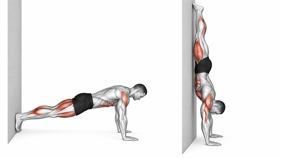 Exercise illustration: Prone plank with feet at the wall and chest-facing-wall handstand finish.